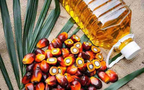 تصویر 4 از قیمت روغن هسته خرما فلاوینا + خرید باور نکردنی